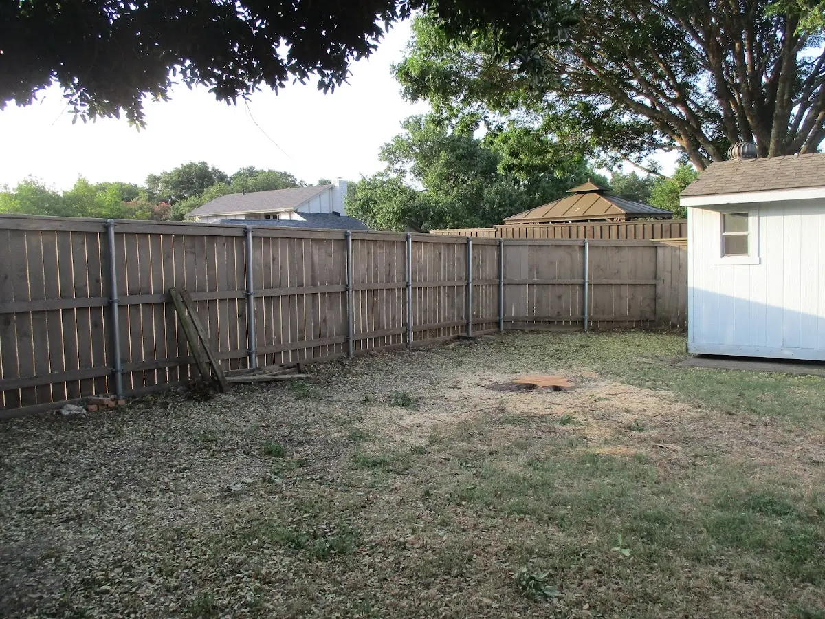 Cleared yard after professional tree removal in Powderhorn